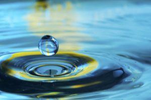 Read more about the article Contact Us for Free Advice and Information